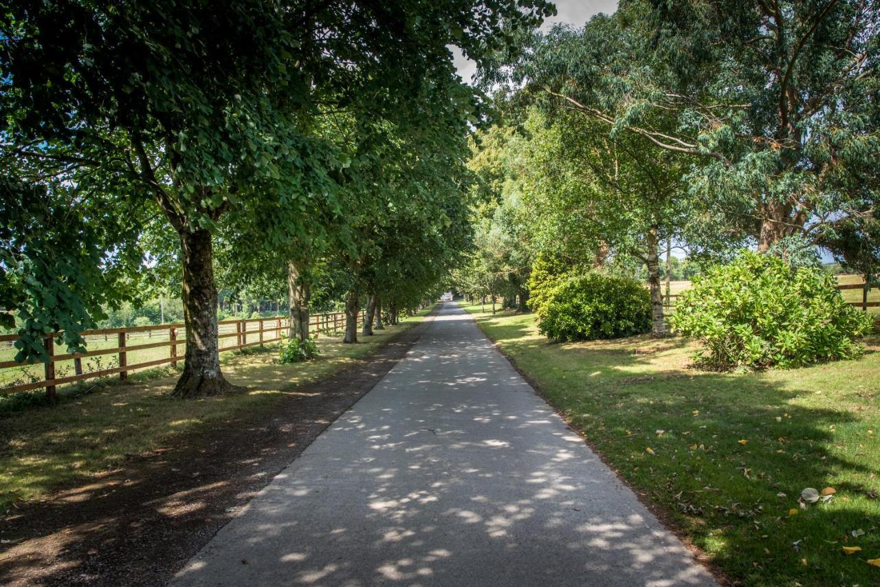 Greenway Manor Hotel Ballyduff  المظهر الخارجي الصورة